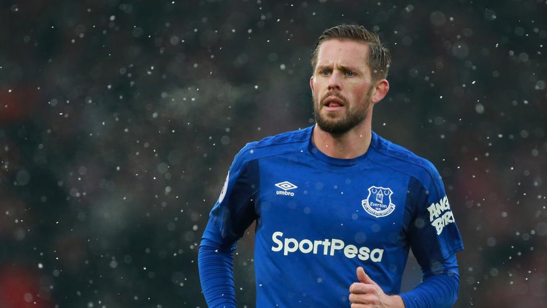 悉尼国王主场表现抢眼，悉尼国王队名单